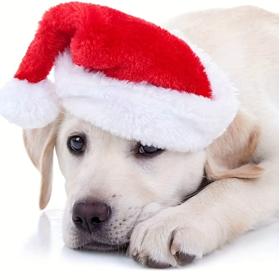 1-10 adet lüks yumuşak peluş n - Santa Hat Plush incelemesi ve fiyatı