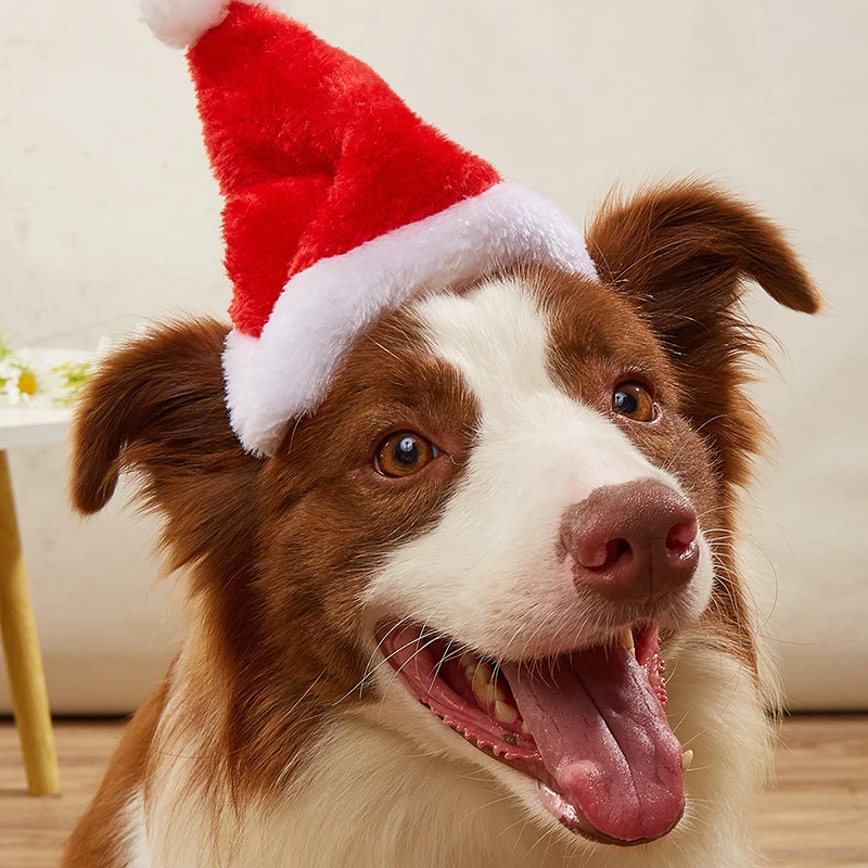1-10 adet lüks yumuşak peluş n - Santa Hat Plush incelemesi ve fiyatı